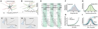 Neuronal Population Activity in Spinal Motor Circuits: Greater Than the Sum of Its Parts